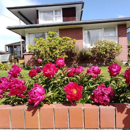 כרייסטצ'רץ' Airport Silver Fern Accommodation מראה חיצוני תמונה